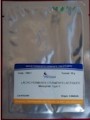 Mesophilic ll Starter
