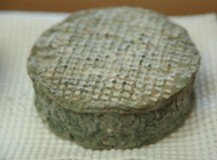 dave-curtis-cheese-1.jpg