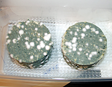 werpers-blue-cheese.jpg