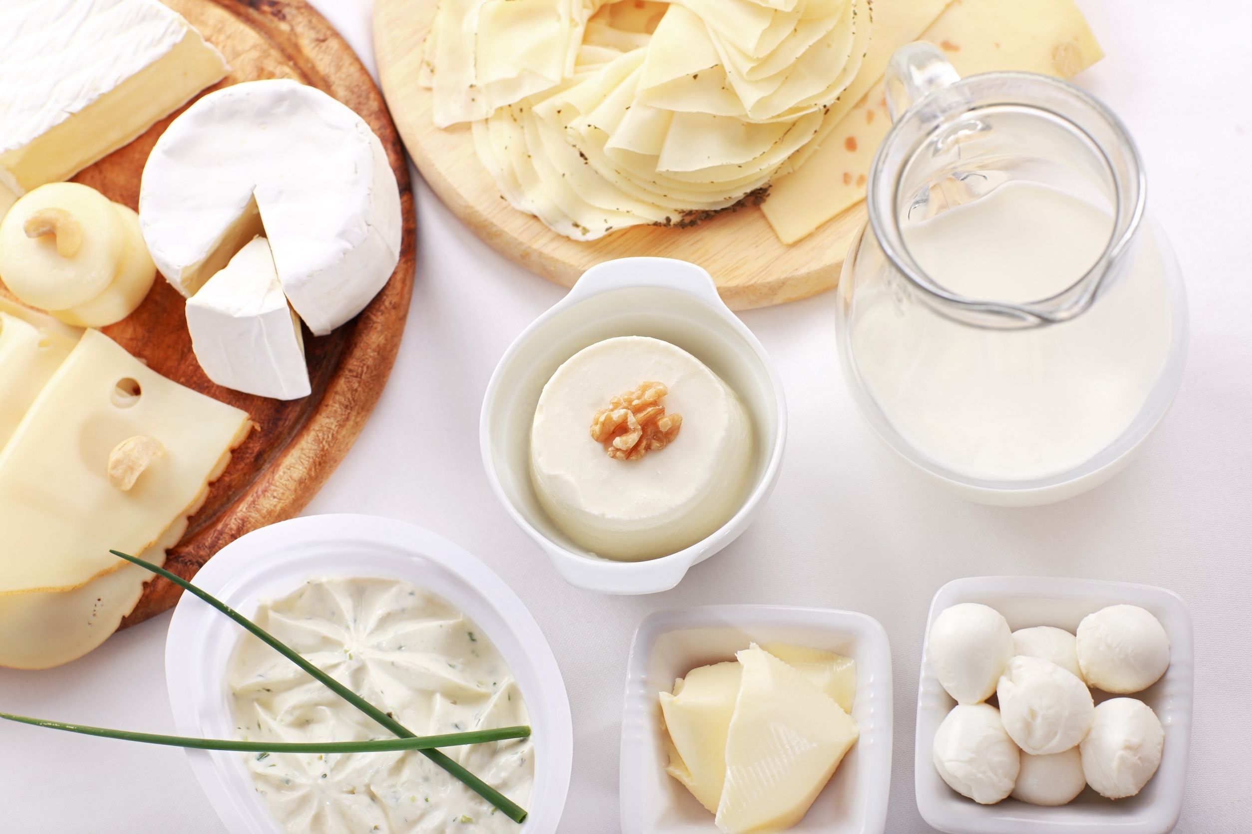 Supplier of cheesemaking supplies, cheese cultures, molds, lipase