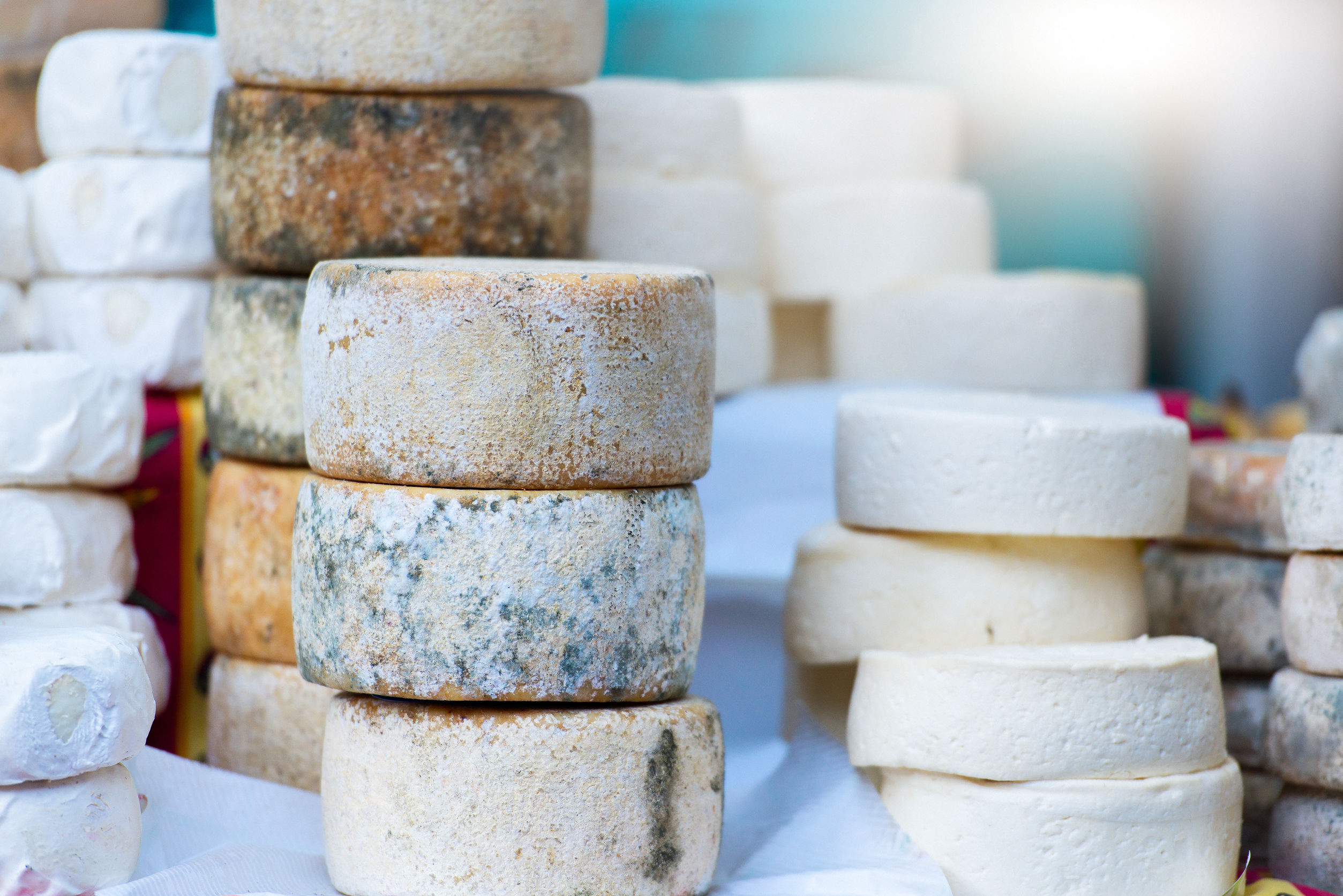 artisan cheese jobs artisan cheese jobs