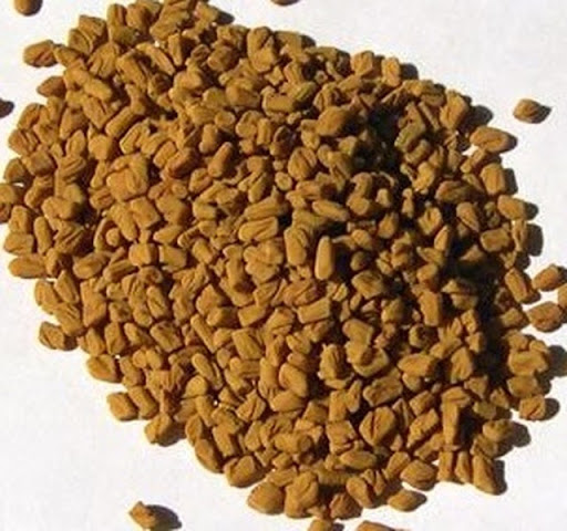 Fenugreek