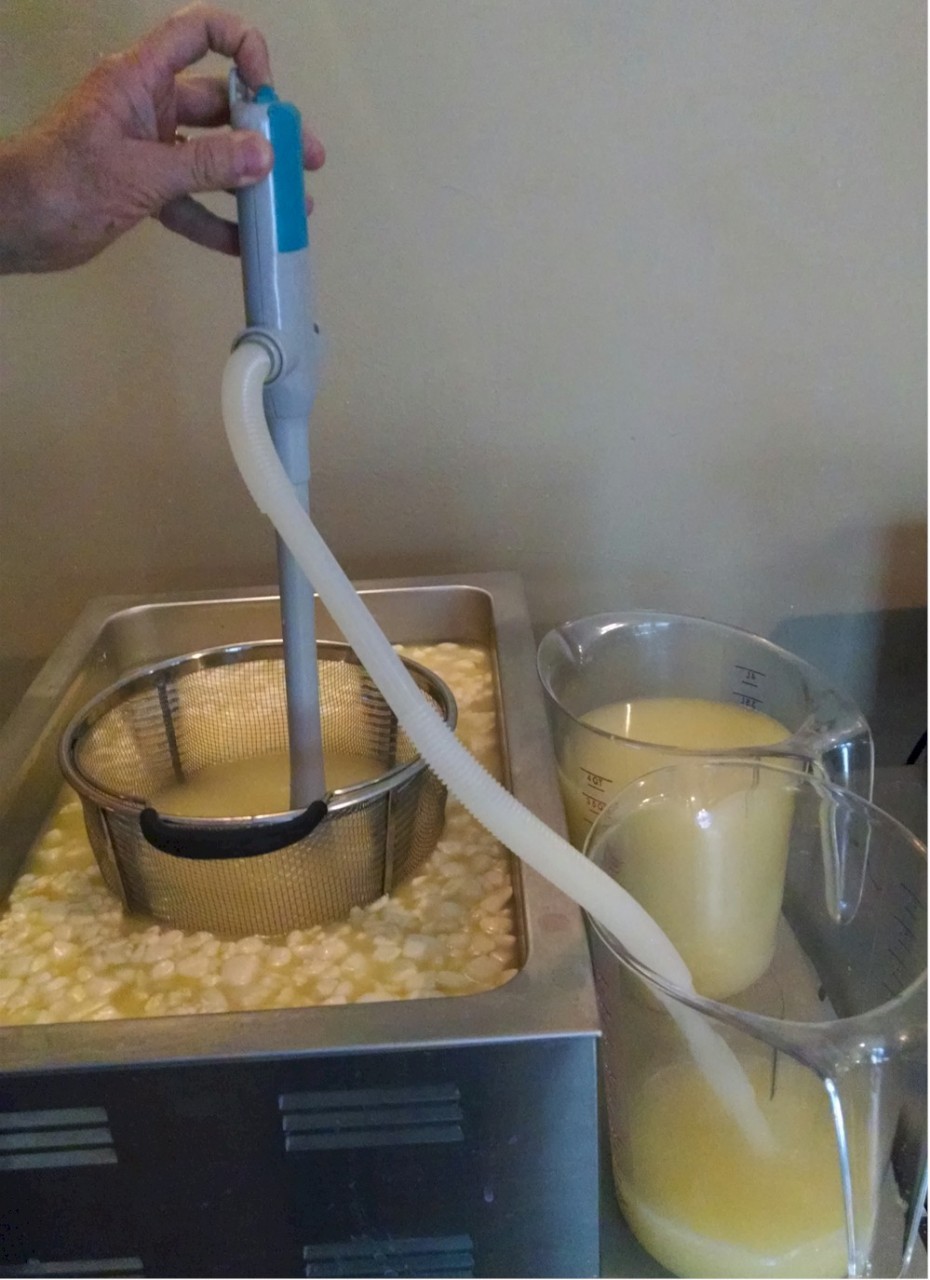 Whey Pump & Strainer